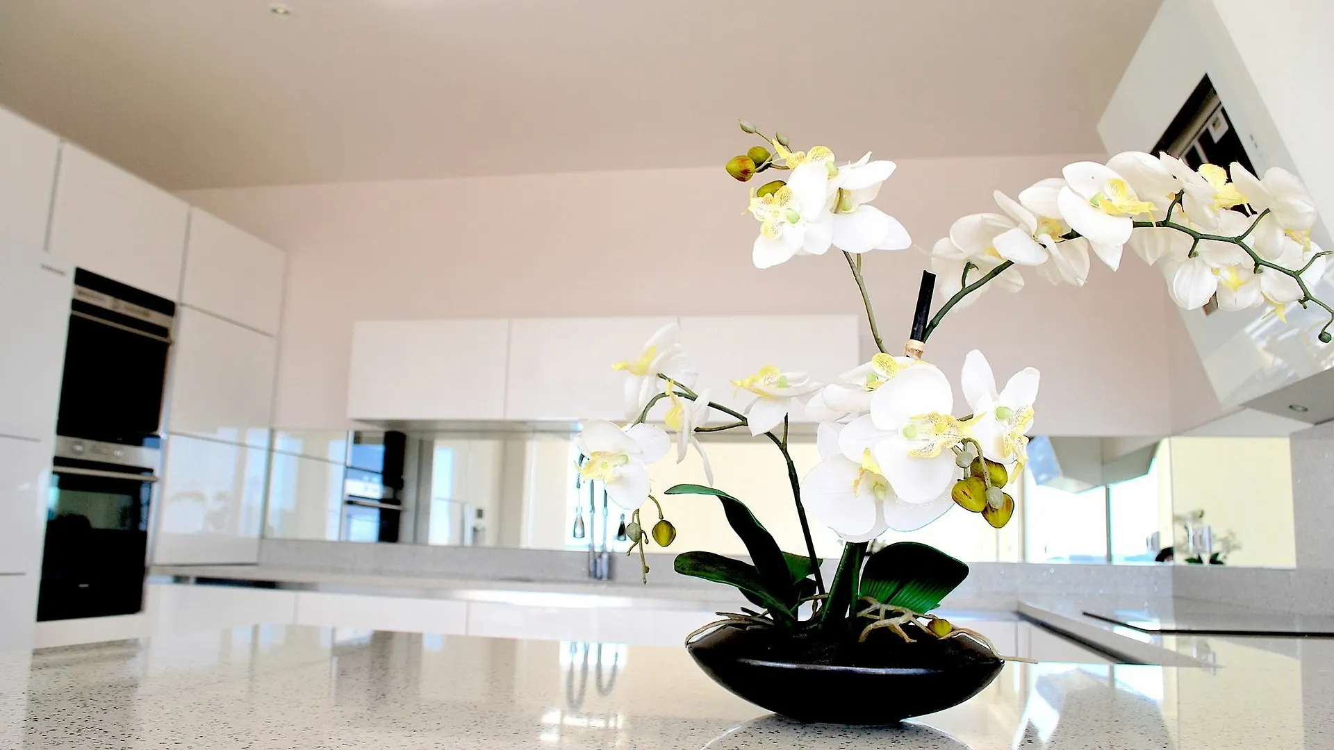 Croisette 79 Apartment Cannes France